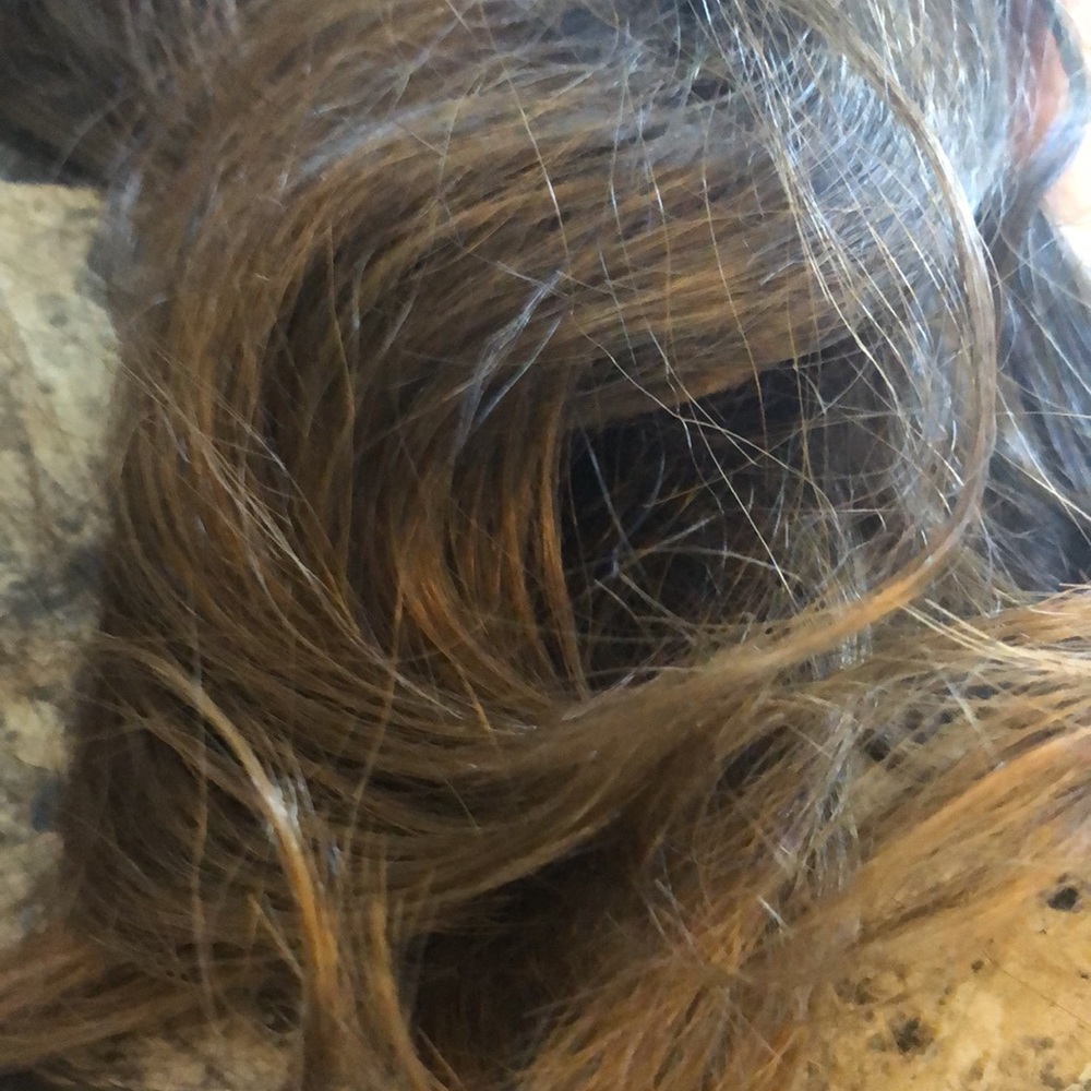 Secret Extensions - Picture 2 of 6